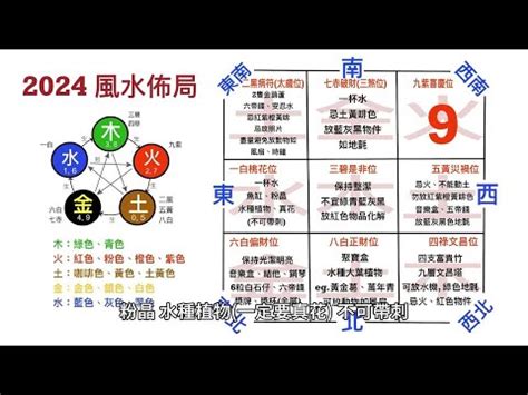 金色蛾 2024 風水佈局